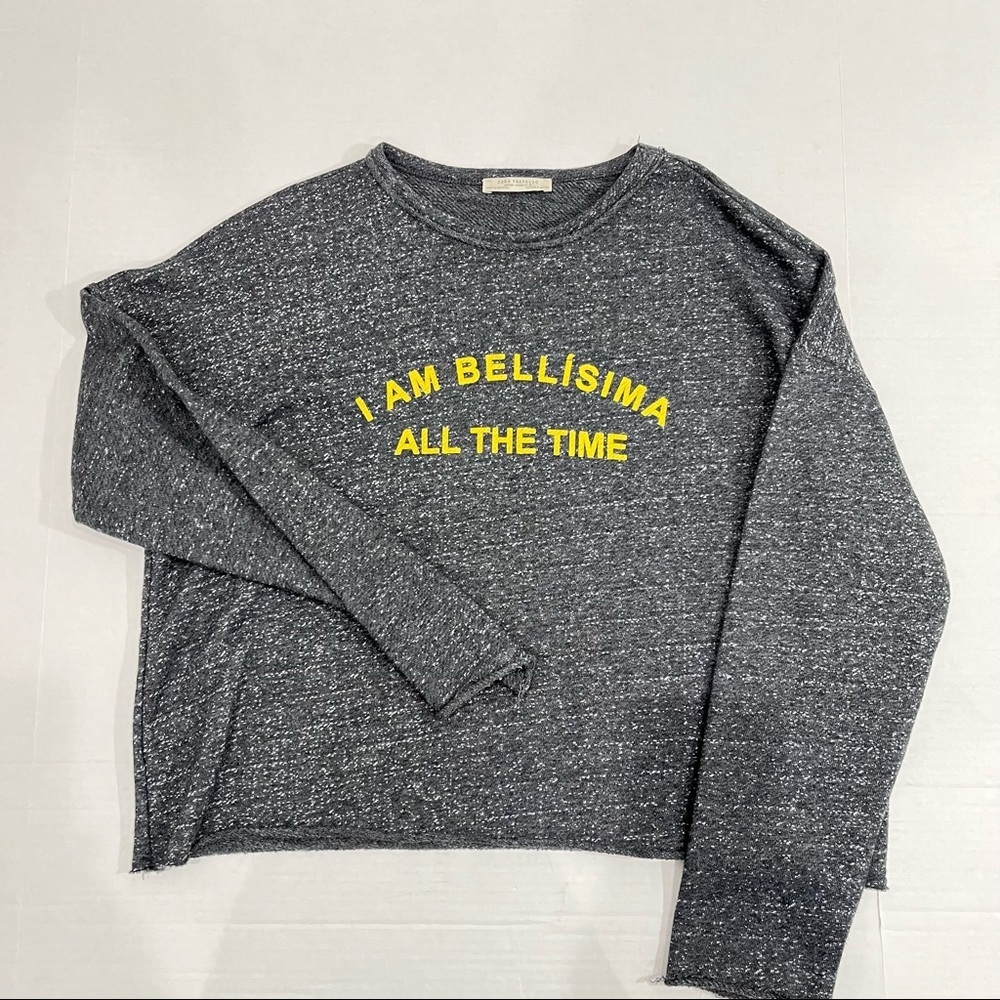 Zara Trafaluc Bellisima All The Time Space Gray Heathered Boyfriend Sweater - Picture 2 of 5
